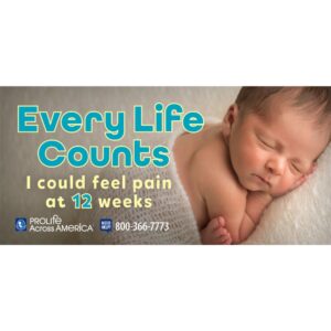 Banner - Every Life Counts